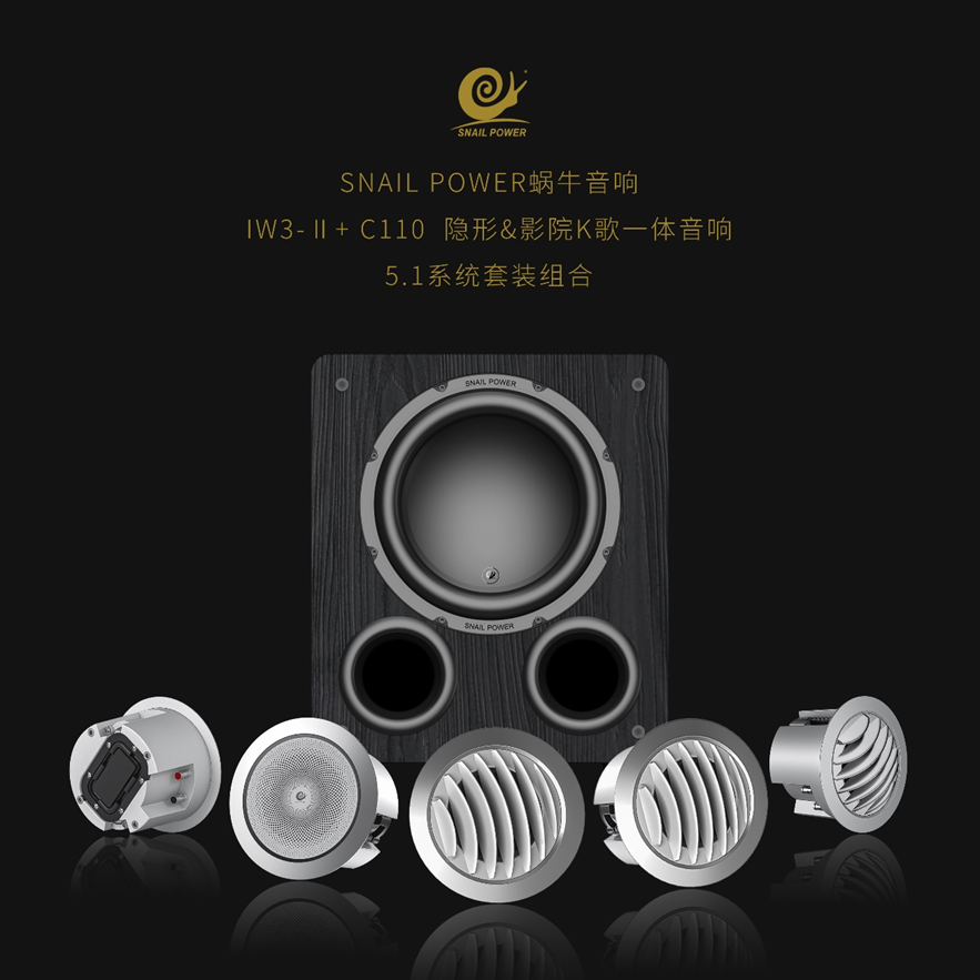 A 500 W 10-Inch Pocket Rocket with Performance Maxed Out: SNAIL POWER C110 Subwoofer Launched (Fig. 6)