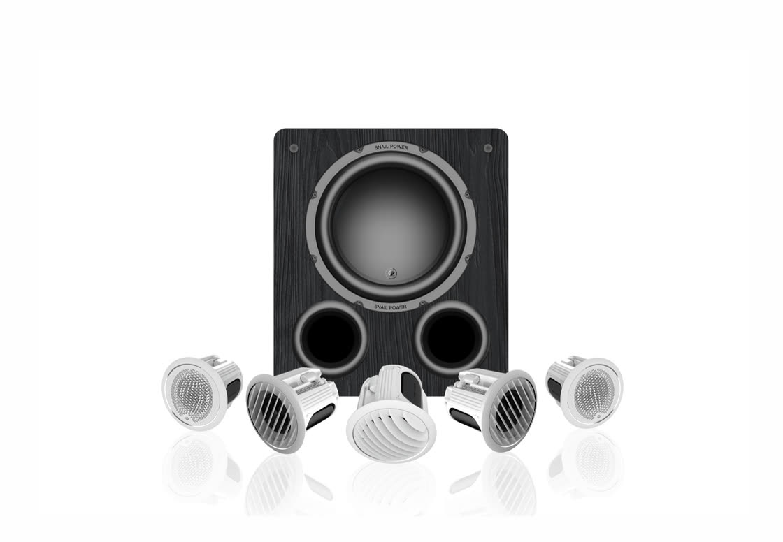 IW4pro-C110 5.1 入顶式家庭影院组合