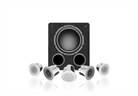 IW4pro-C110 5.1 In-Ceiling Home Theater System